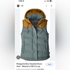 Patagonia Bivy Hooded Vest